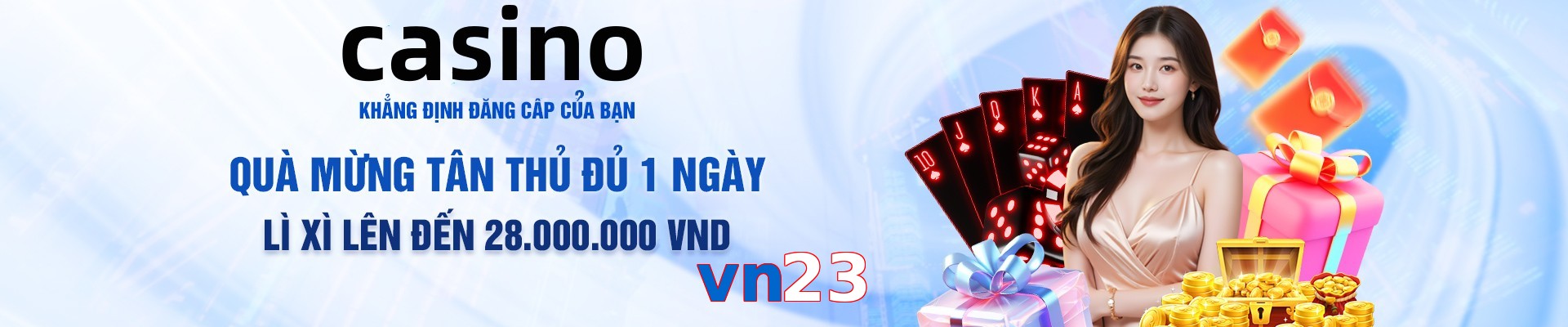 vn23