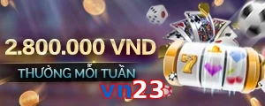 vn23