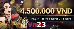 vn23