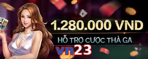 vn23