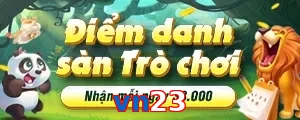 vn23