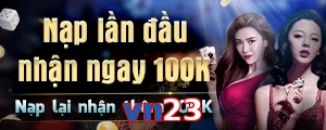 vn23