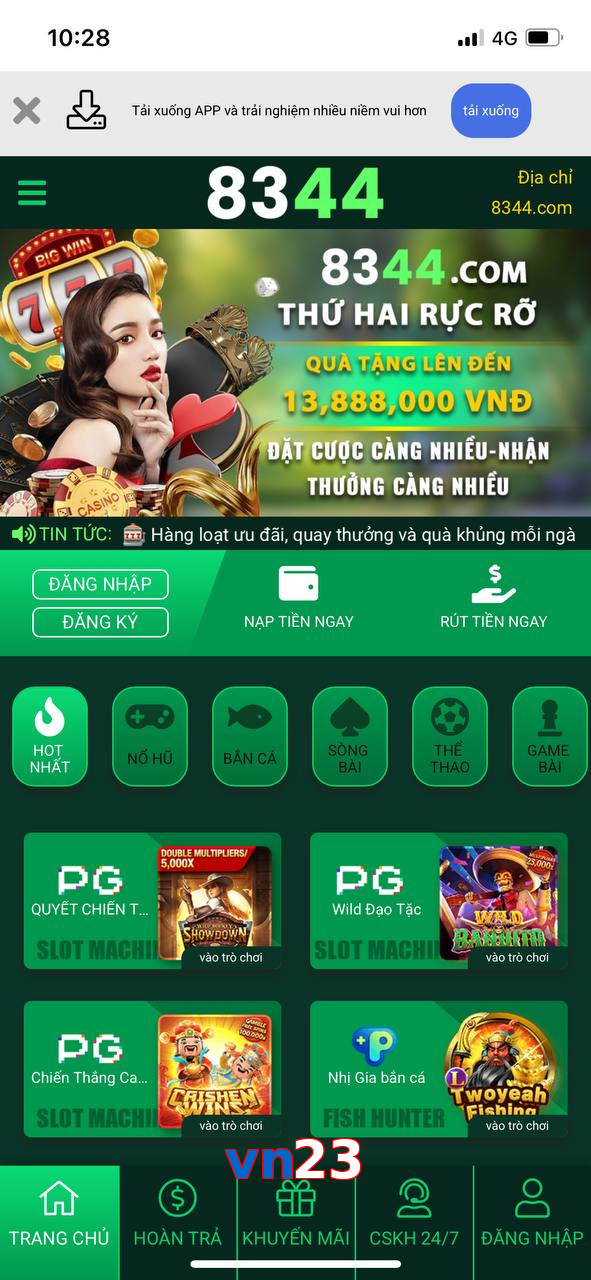vn23