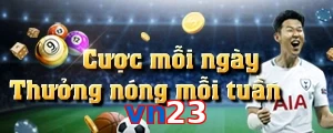 vn23