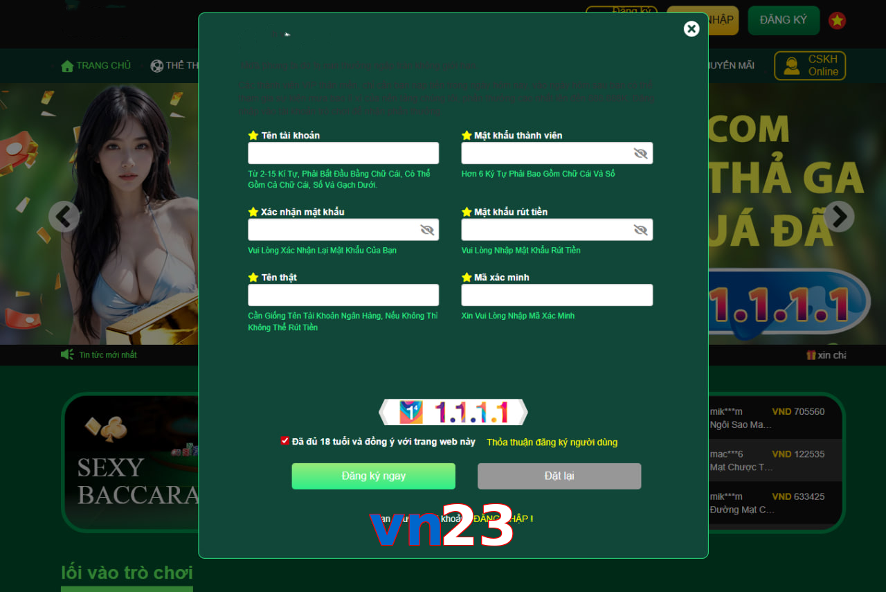vn23